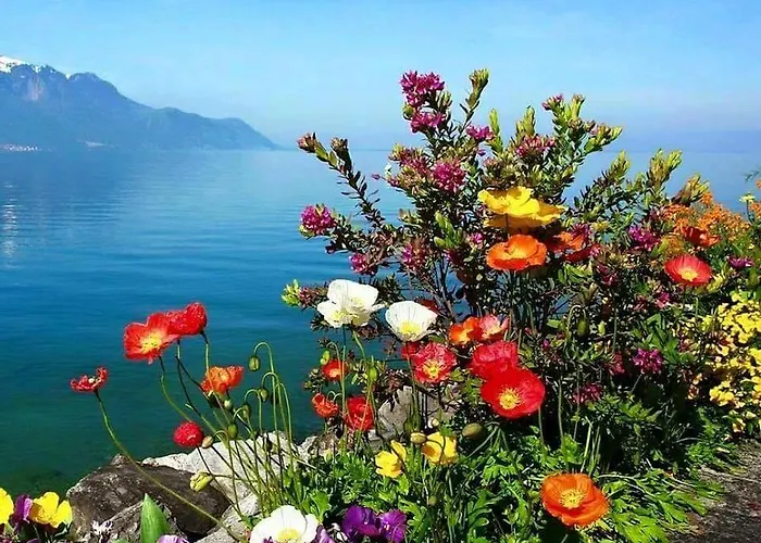 Bed & Breakfast Gozde Deniz Boutique 3*