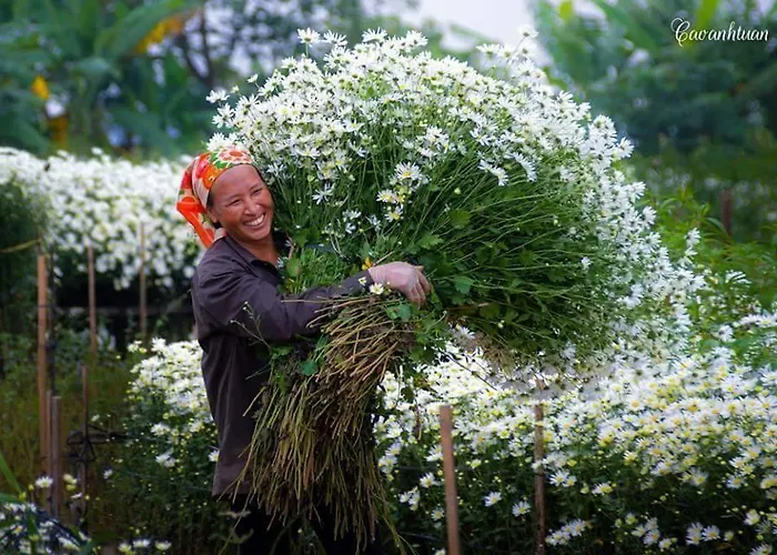 Gozde Deniz Boutique 3* Bodrum