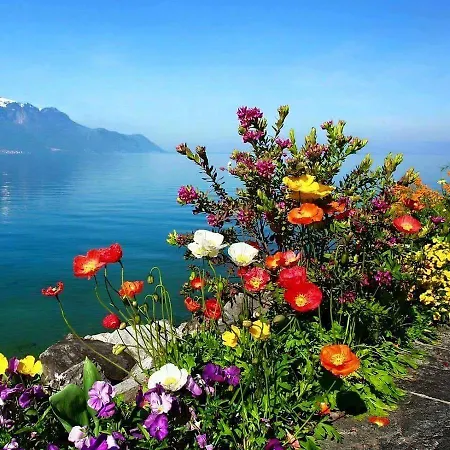 לינה וארוחת בוקר Gozde Deniz Boutique 3*